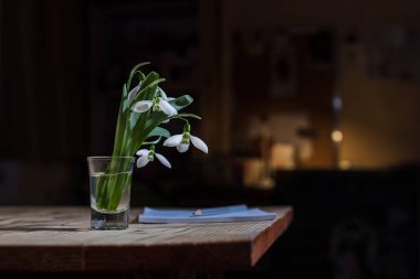 Zencefil çayı twhite bahar çiçekleri snowdropsable