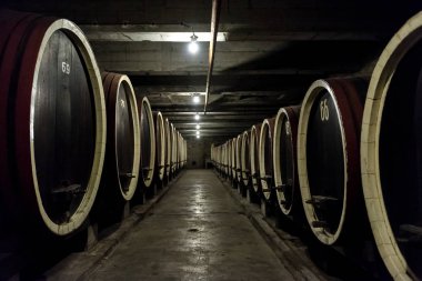 Bir winery içinde varil satır