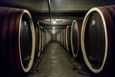 Bir winery içinde varil satır