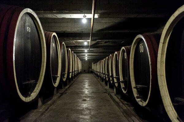 Barrel rows in a winery