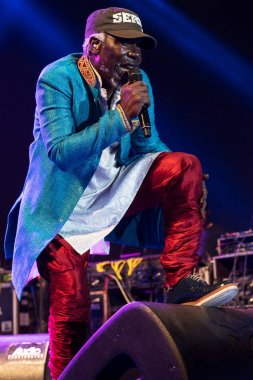 Alfa sarışın ve güneş sistemi ünlü reggae şarkıcısı ve söz yazarı Nisville Caz Festivali, 11 Ağustos yaşıyor. 2017