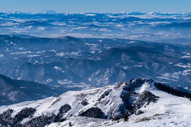 Kış manzarası ile dağ, dağ Milli Parkı Kopaonik, Sırbistan