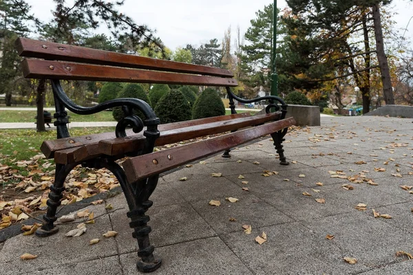 Wooden Bench Autumn Park Leaves Selective Focus — Stock Photo, Image