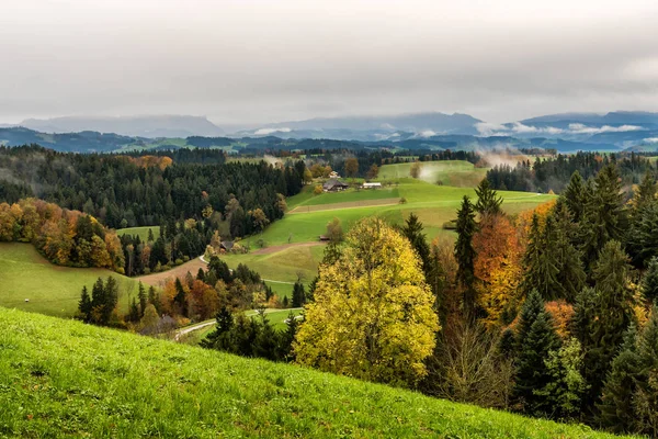 Rural landscape in Emmental valley in  Switzerland with grazing fields and a farm