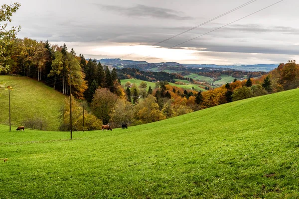 スイスのエメンタール渓谷にある放牧地と農場の田園風景 — ストック写真