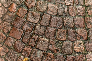 Islak ya da nemli tuğla kaldırım döşemesi döşeme dokusu. en üstteki görünüm