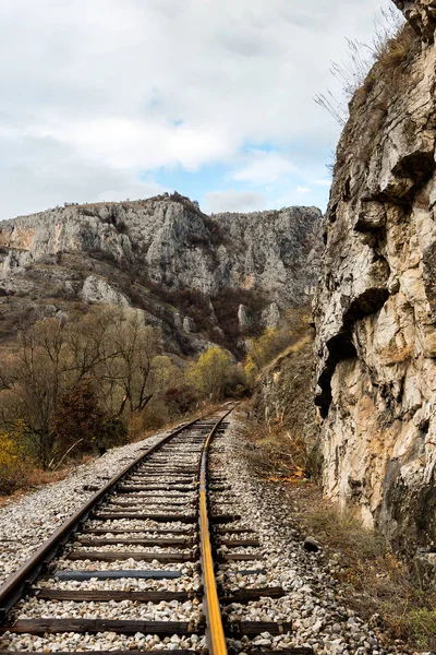 Velhos Trilhos Ferroviários Abandonados Natureza Viajando Trem — Fotografia de Stock