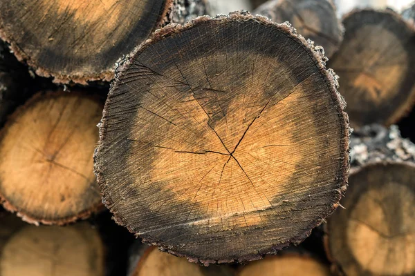 Дерев Яні Колоди Продажу Пожежному Місці Вдома Зберігаються Лісах Зелена — стокове фото