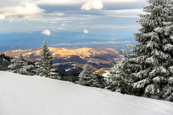 Traumhafte Winterlandschaft Mit Schneebedeckten Pelzen Frostiger Bergtag Exotische Winterliche Szenerie — Stockfoto