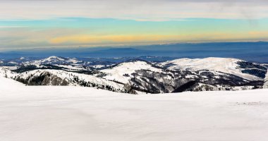 Kürkleri karla kaplı muhteşem kış manzarası. Soğuk dağ günü, egzotik kış manzarası.