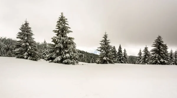 Impresionante Paisaje Invierno Con Pieles Cubiertas Nieve Día Montaña Helada — Foto de Stock