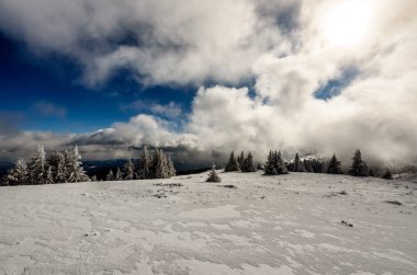 Karla kaplı ağaçlarla muhteşem bir kış manzarası. Soğuk dağ günü, egzotik kış manzarası.