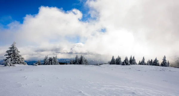 Φοβερό Χειμερινό Τοπίο Δέντρα Καλυμμένα Χιόνι Παγωμένη Μέρα Στο Βουνό — Φωτογραφία Αρχείου