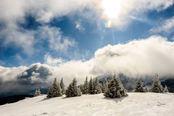 Impresionante Paisaje Invierno Con Árboles Cubiertos Nieve Día Montaña Helada — Foto de Stock