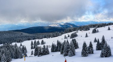 Karla kaplı ağaçlarla muhteşem bir kış manzarası. Soğuk dağ günü, egzotik kış manzarası.
