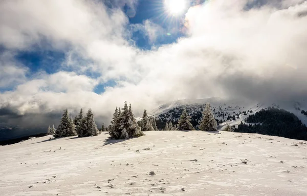 Impresionante Paisaje Invierno Con Árboles Cubiertos Nieve Día Montaña Helada — Foto de Stock