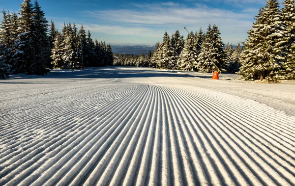 Vista Uma Pista Esqui Início Manhã Depois Estar Sendo Preparado — Fotografia de Stock