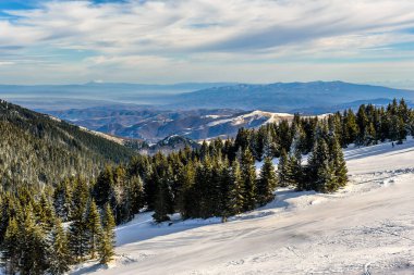 Karla kaplı ağaçlarla muhteşem bir kış manzarası. Soğuk dağ günü, egzotik kış manzarası.