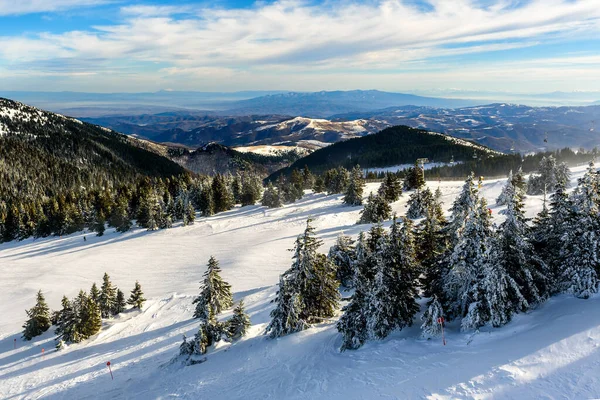 Úžasná Zimní Krajina Stromy Pokrytými Sněhem Mrazivý Horský Den Exotická — Stock fotografie