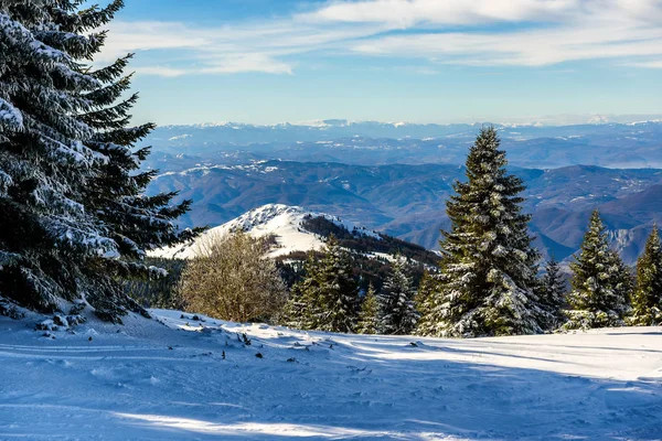 Impressionante Paisagem Inverno Com Árvores Cobertas Neve Dia Montanha Gelado — Fotografia de Stock