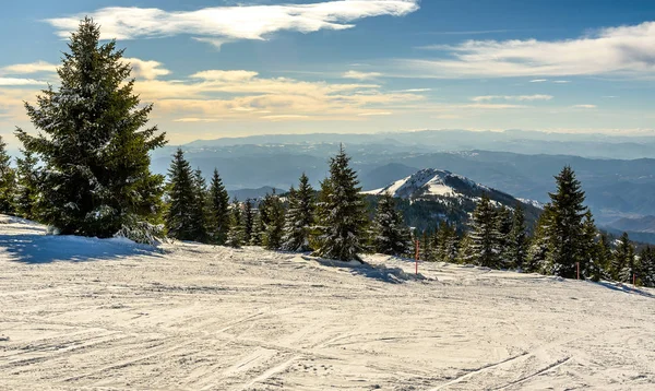 Impressionante Paisagem Inverno Com Árvores Cobertas Neve Dia Montanha Gelado — Fotografia de Stock