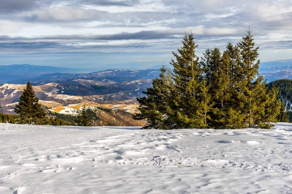 Φοβερό Ορεινό Χειμερινό Χιονισμένο Τοπίο Δέντρα Και Κορυφές Παγωμένη Μέρα — Φωτογραφία Αρχείου