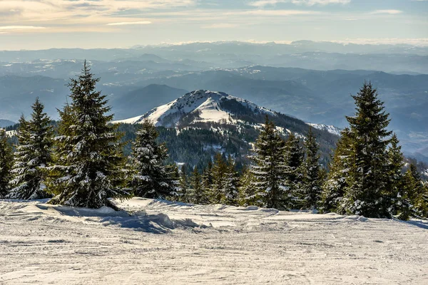 Impresionante Paisaje Nevado Invierno Montaña Con Árboles Picos Día Montaña — Foto de Stock