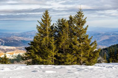 Ağaçları ve zirveleri olan muhteşem dağ kışı manzarası. Soğuk dağ günü, egzotik kış manzarası.