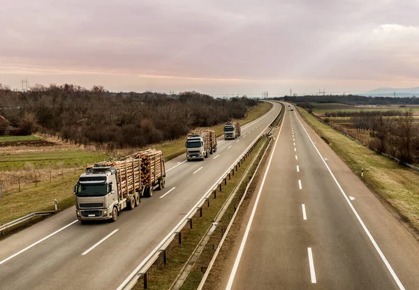 Beladene Holzlaster Transportieren Baumstämme Mit Überladung Auf Der Autobahn Holztransporter — Stockfoto