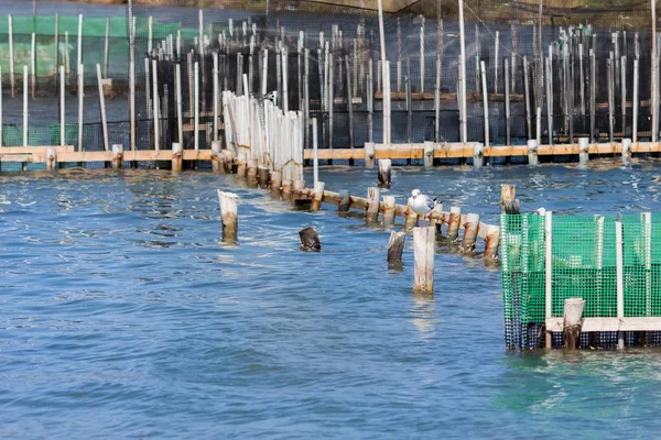 Fish farm on Greece — Stock Photo, Image