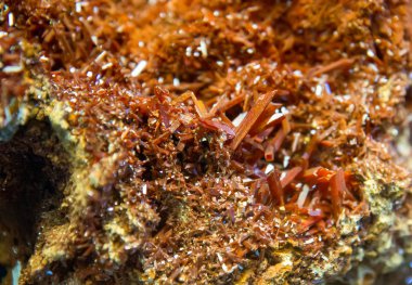 Crocoite mineral - Tazmanya