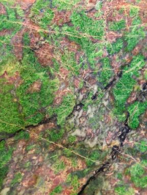 Slovenya Eclogite kaya