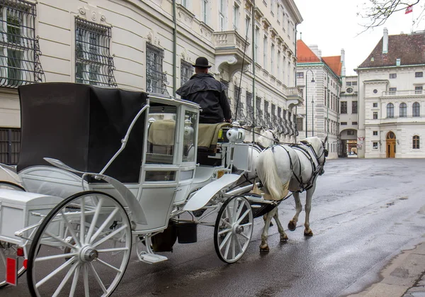 Atracción Turística Carruajes Antiguos Viena Austria — Foto de Stock