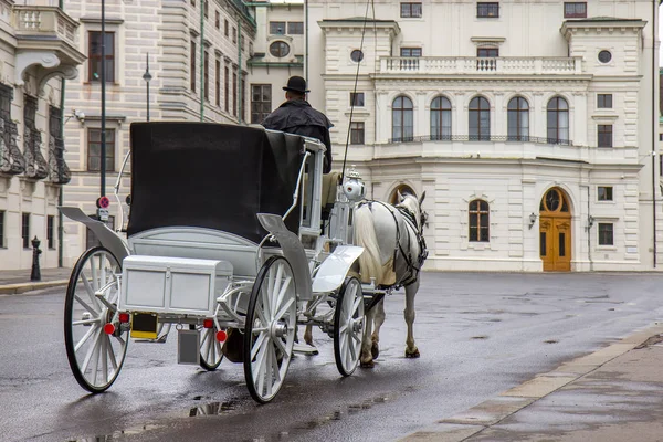 Atracción Turística Carruajes Antiguos Viena Austria — Foto de Stock