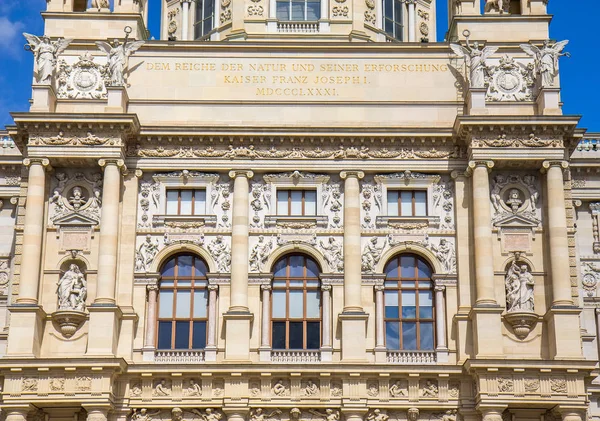 Muzeul Istorie Naturală Viena — Fotografie, imagine de stoc