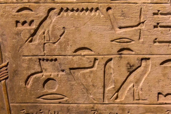 Hieroglyfiska Sniderier Ytterväggarna Ett Antikt Egyptiskt Tempel — Stockfoto