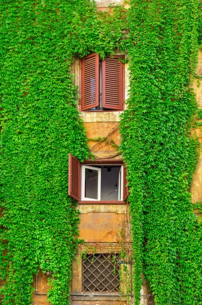 Facade of an old building in Rome, covered by ivy. — Stock Photo, Image