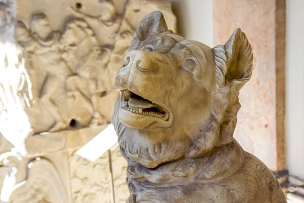 Імперська Римських Великі Собаки Скульптура Копія Елліністичної Бронзова Статуя Оригінал — стокове фото
