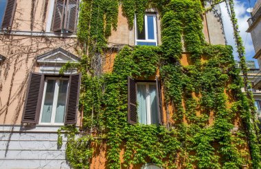 Ivy tarafından örtülü Roma'da eski binasında Windows.