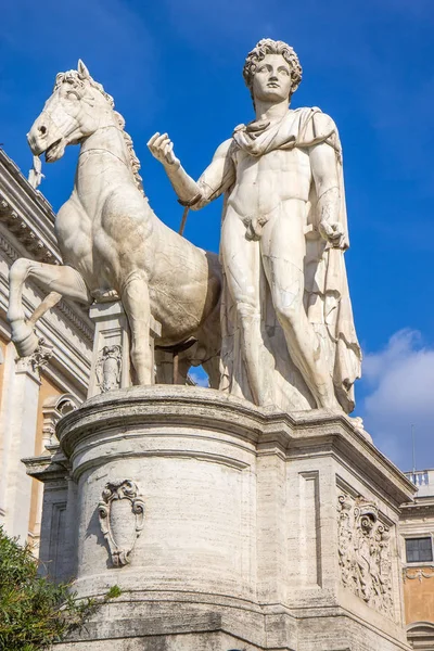 Estatua Pólux Con Caballo Piazza Del Campidoglio Capitolio Roma Italia — Foto de Stock