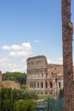 Roma Colosseum amphiteater Roma, İtalya