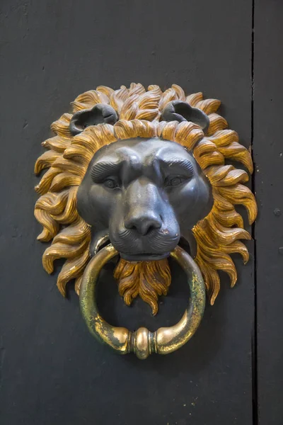 Lion door knocker - Rom, Italien — Stockfoto