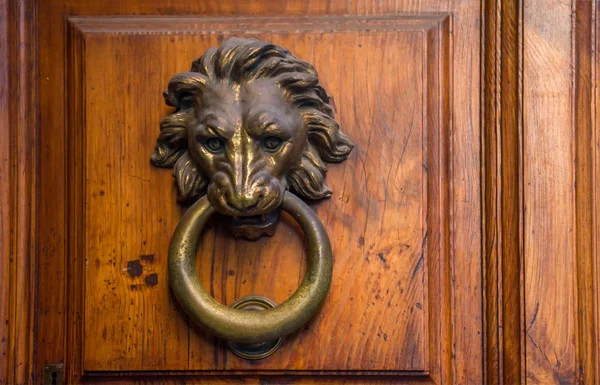 Lion door knocker - Rome, Italy — Stock Photo, Image
