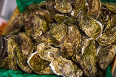 Paris restoranında taze salyangozlar.