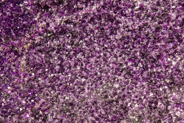 Viele glänzende Amethyst-Mineralien — Stockfoto