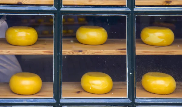 Homemade Cheese Amsterdam Shop — Stock Photo, Image