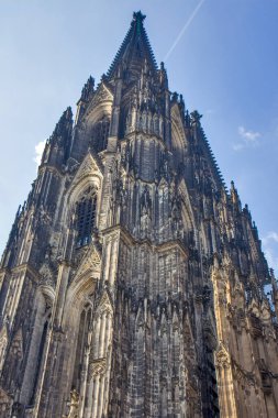 Köln, Almanya 'daki Aziz Peter Katedrali