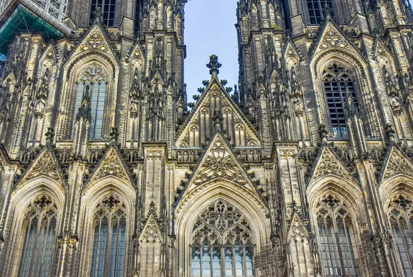Köln Almanya Daki Aziz Peter Katedrali — Stok fotoğraf