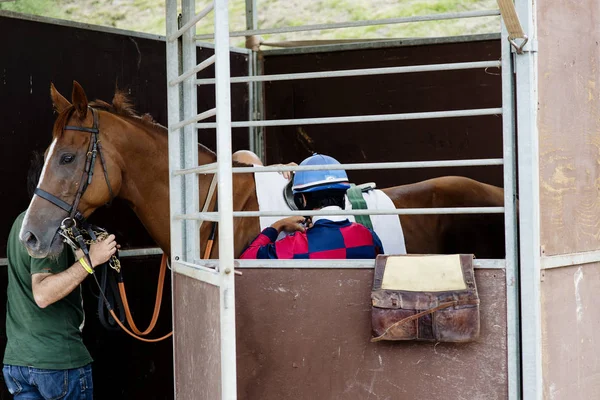 Rear view of jockey in checkered shirt adjusting sit on horse back at stall