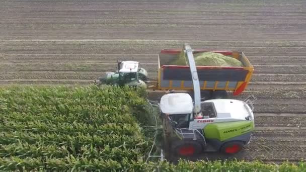 Tiro aéreo de corte de milho máquina agrícola, D-log — Vídeo de Stock